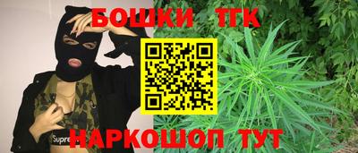 дживик Можга