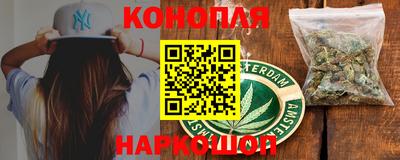 дживик Можга