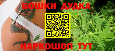 дживик Можга