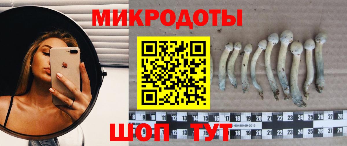 Воткинск  Псилоцибиновые грибы Psilocybine cubensis  Вход с VPN  Галлюциногенные грибы Psilocybine cubensis 